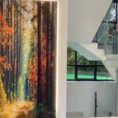 Precioso Y Moderno Apartamento En Apartment Vigo